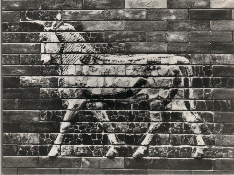 Babylone - porte d'Ishtar - taureau - 580 av JC